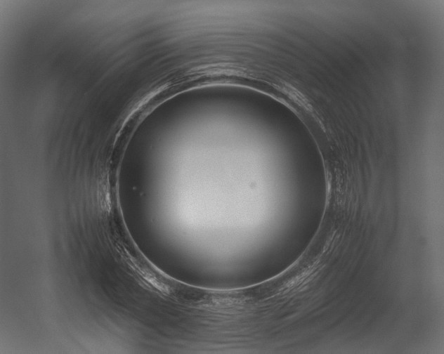 X0000054390782200507291142