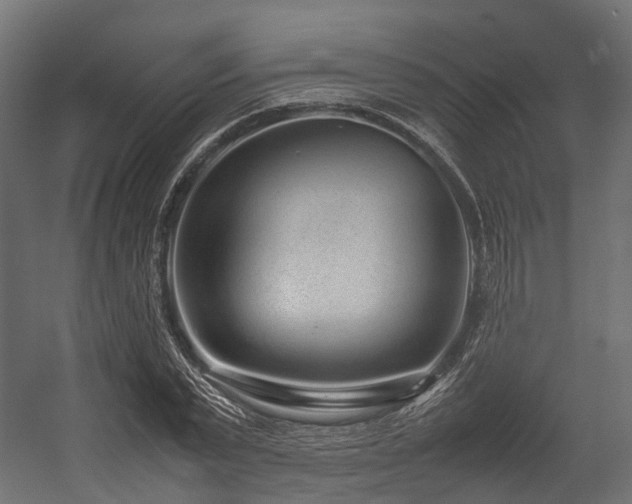 X0000054390783200507291142