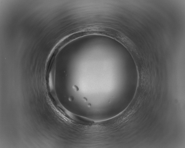 X0000054390784200507291142