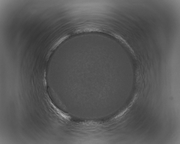 X0000054390785200507291142