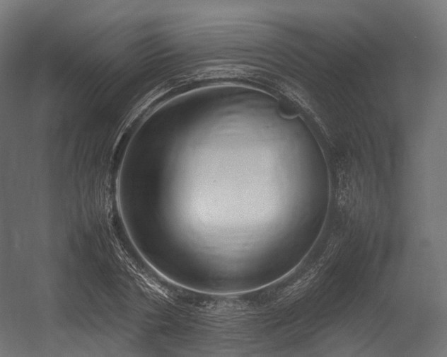 X0000054390786200507291142
