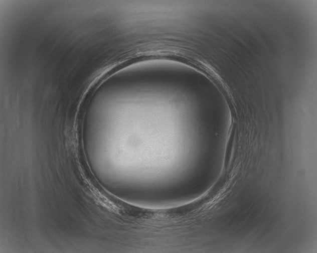 X0000054390787200507291142