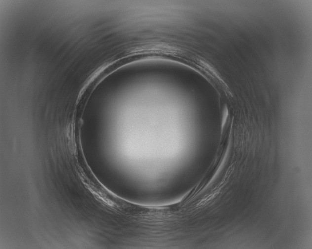 X0000054390788200507291142