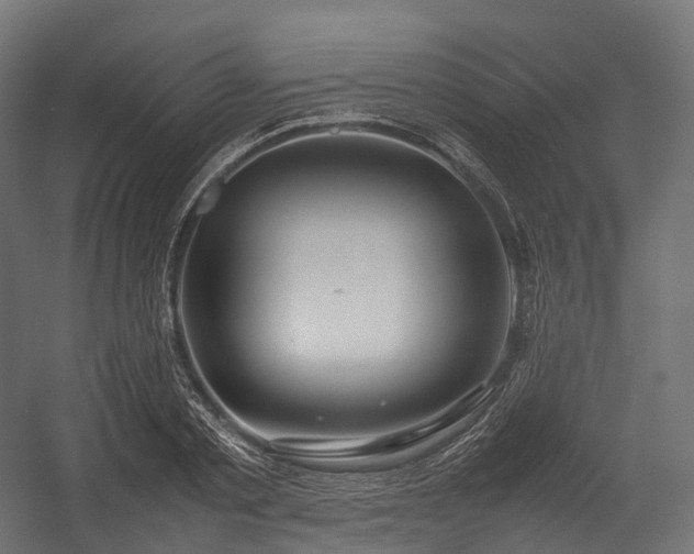X0000054390789200507291142
