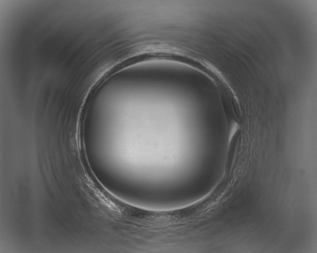 X0000054390791200507291142