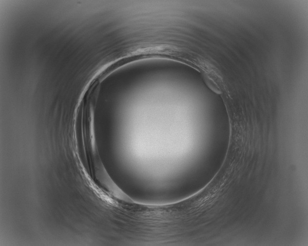 X0000054390792200507291142