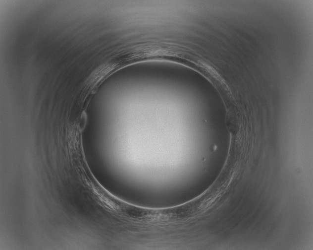 X0000054390793200507291142