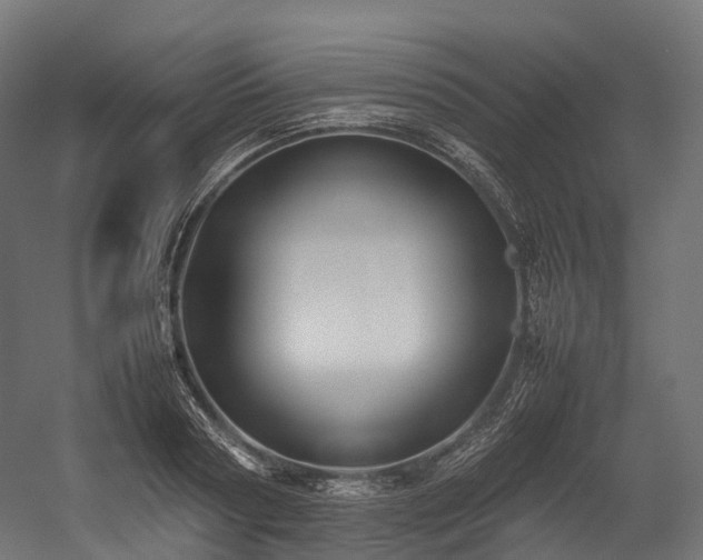 X0000054390794200507291142