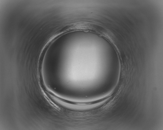 X0000054390795200507291142