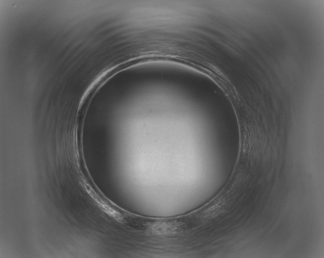 X0000054390796200507291142
