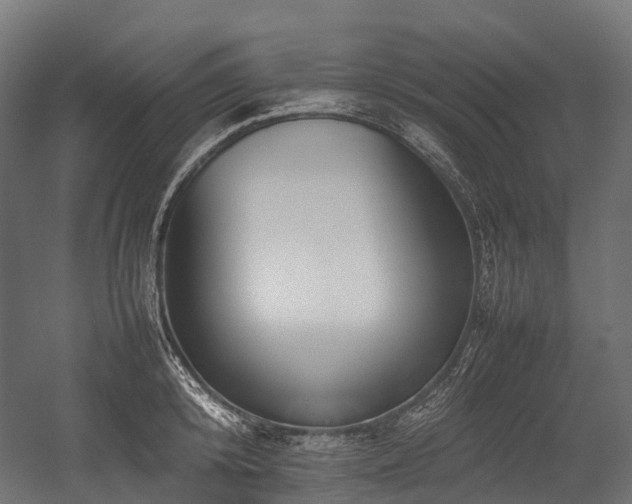 X0000054390800200507291142
