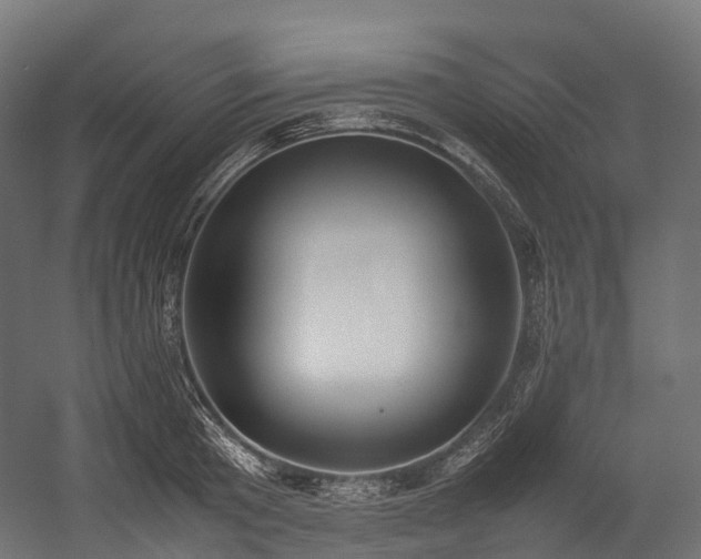 X0000054390801200507291142