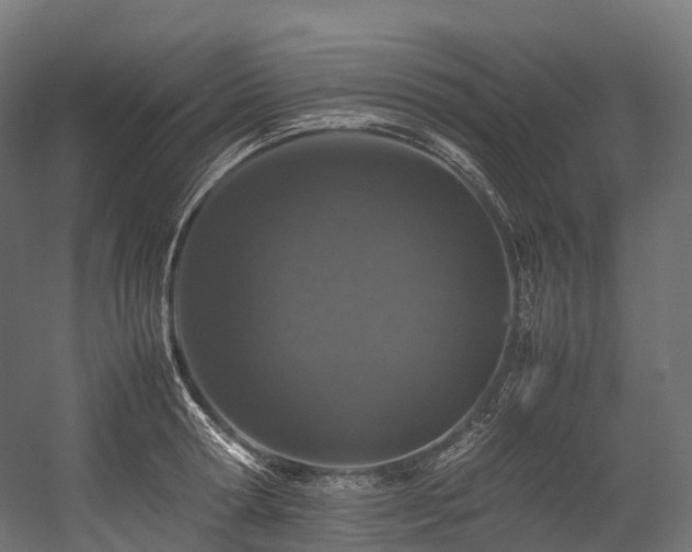 X0000054390802200507291142