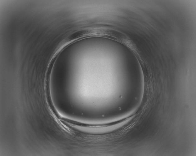 X0000054390803200507291142