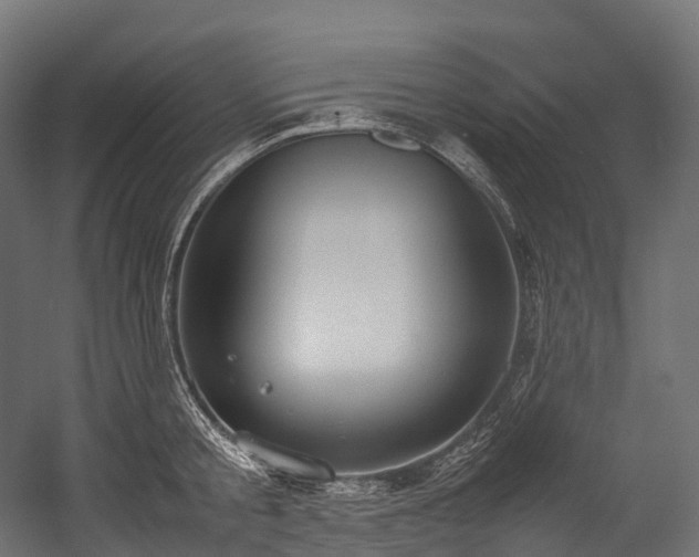 X0000054390805200507291142