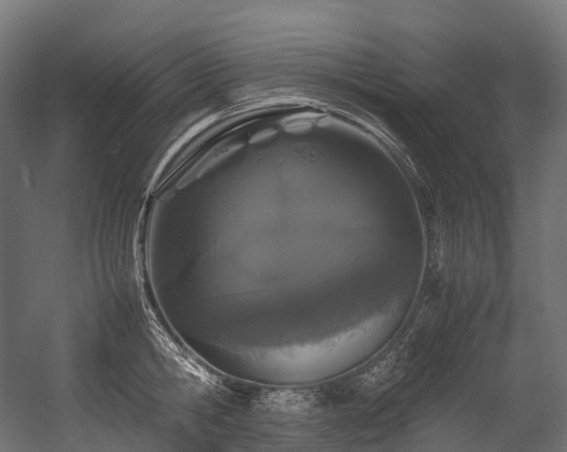 X0000054390806200507291142