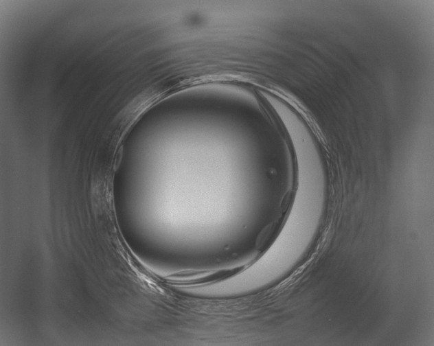X0000054390809200507291142