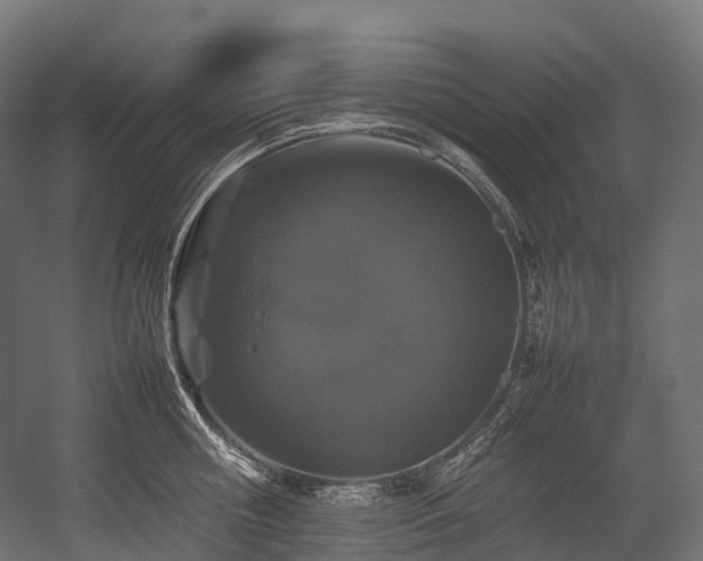 X0000054390810200507291142