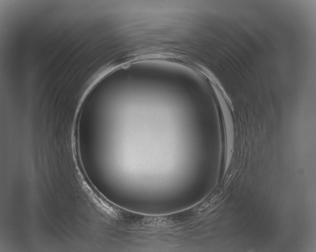 X0000054390811200507291142