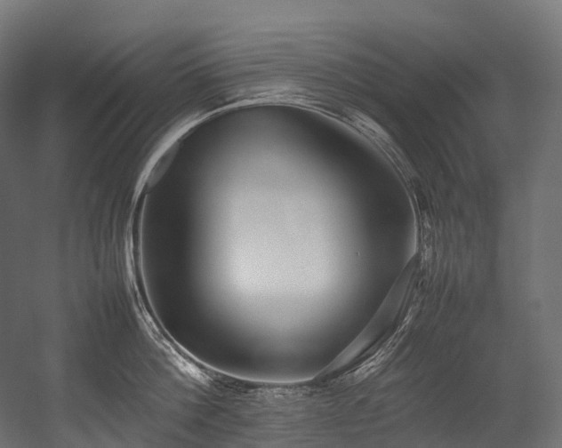 X0000054390812200507291142