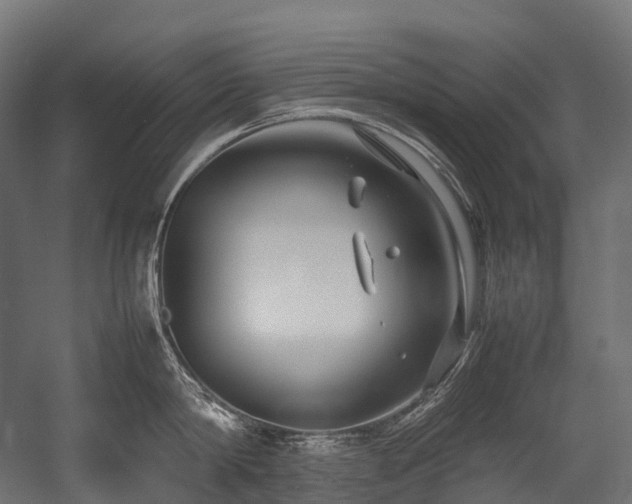 X0000054390814200507291142
