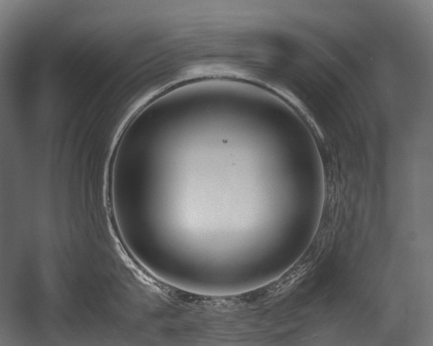 X0000054390815200507291142