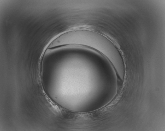 X0000054390816200507291142