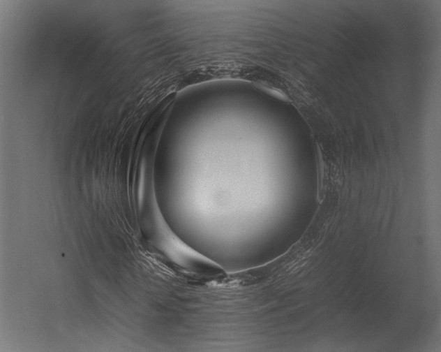 X0000054390818200507291141