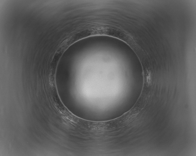 X0000054390819200507291141