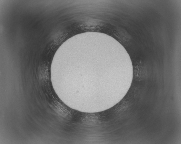 X0000054390820200507291141