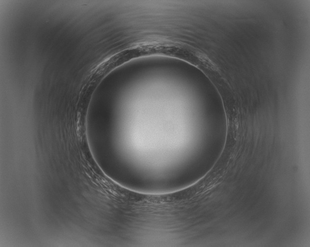 X0000054390822200507291141