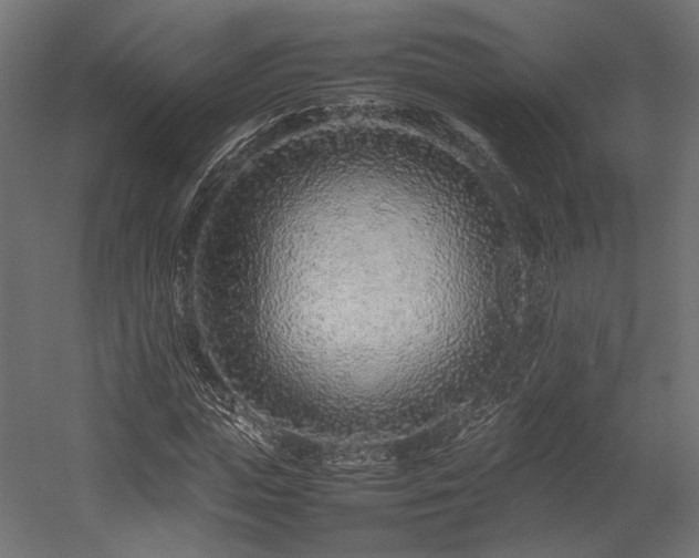 X0000054390823200507291141