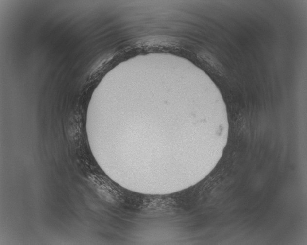 X0000054390824200507291141