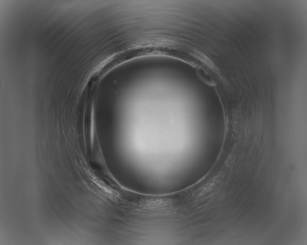 X0000054390826200507291141