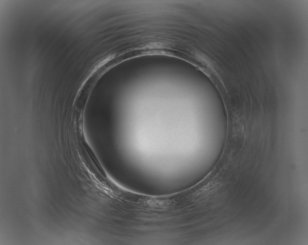 X0000054390827200507291141