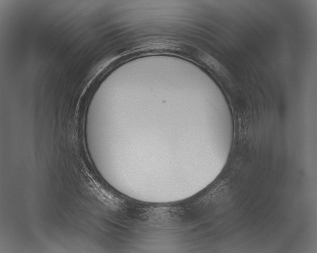 X0000054390828200507291141