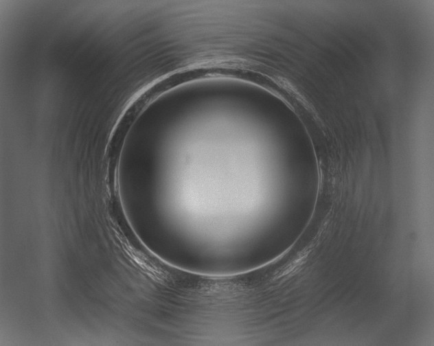 X0000054390830200507291141