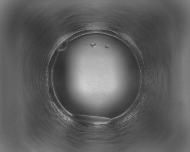 X0000054390831200507291141