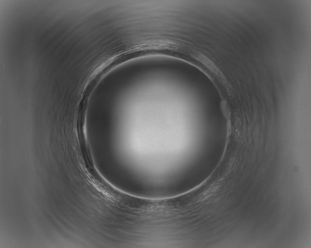 X0000054390834200507291141