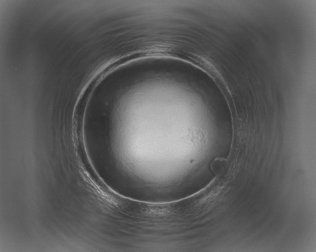 X0000054390835200507291141