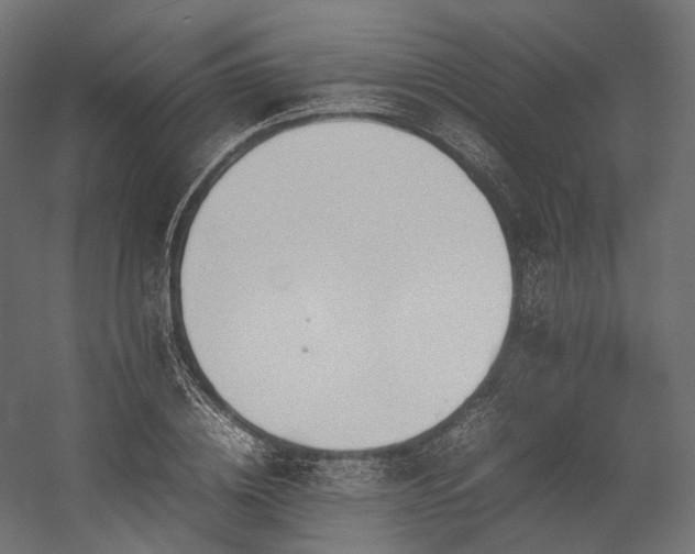X0000054390836200507291141