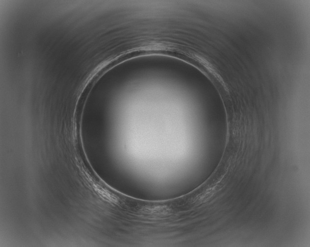 X0000054390837200507291141