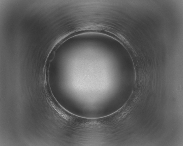 X0000054390838200507291141