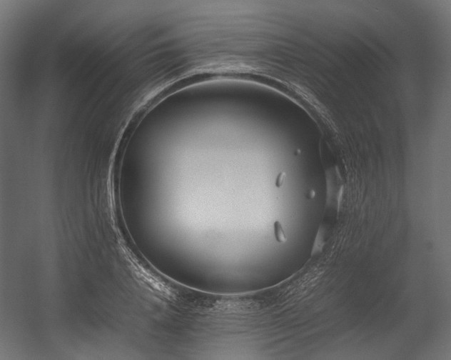 X0000054390840200507291141