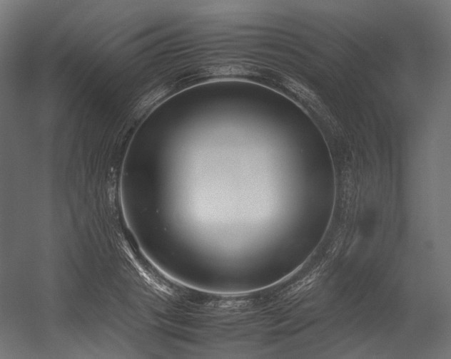 X0000054390841200507291141