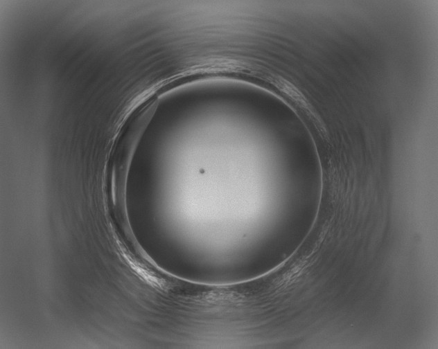X0000054390842200507291141