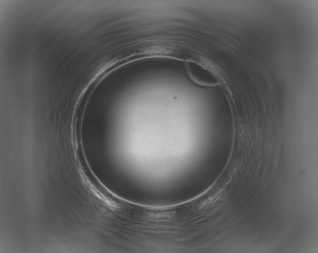 X0000054390843200507291141