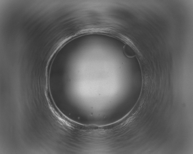 X0000054390844200507291141