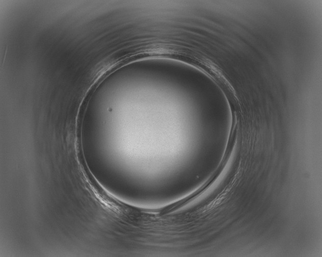 X0000054390845200507291141