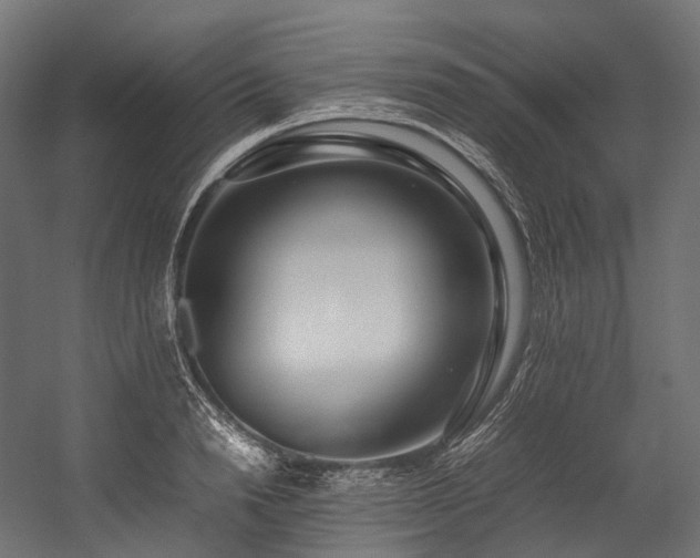 X0000054390846200507291141